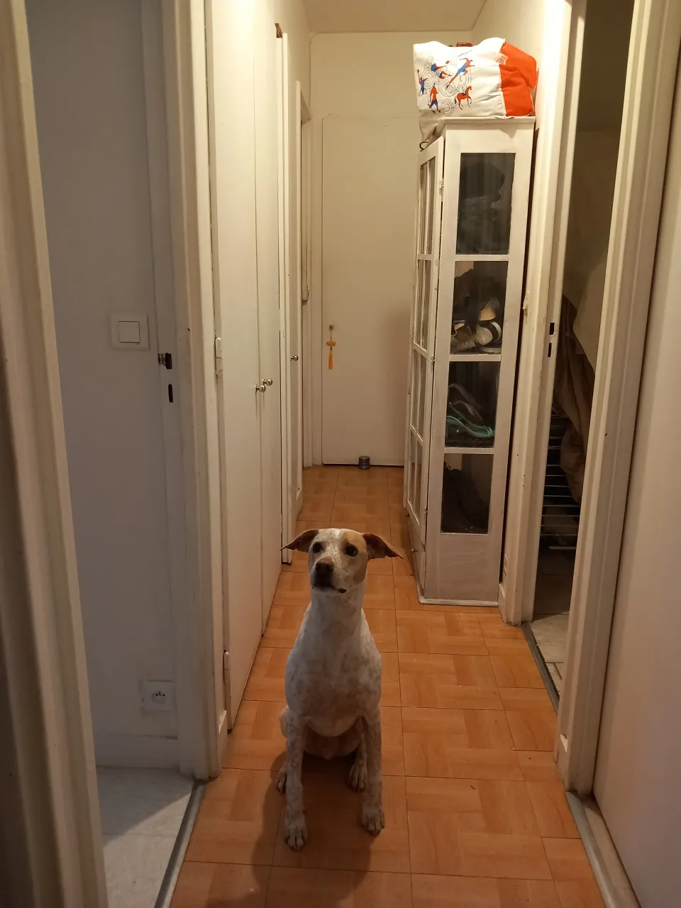 Photo 4 de la chambre