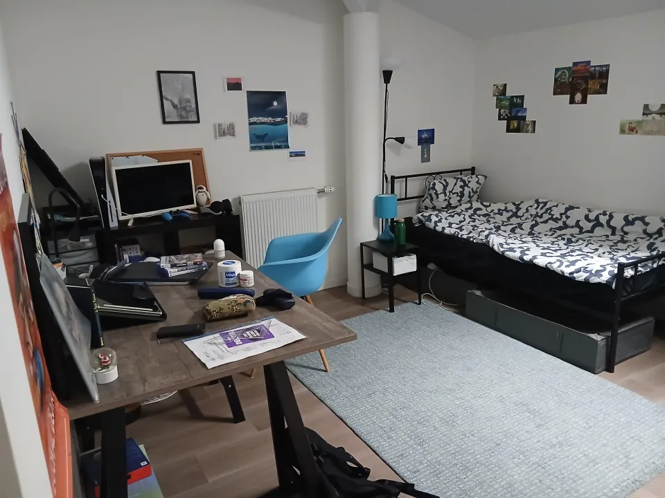 Photo 1 de la chambre