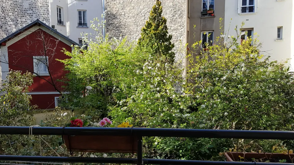 Photo 10 de la chambre