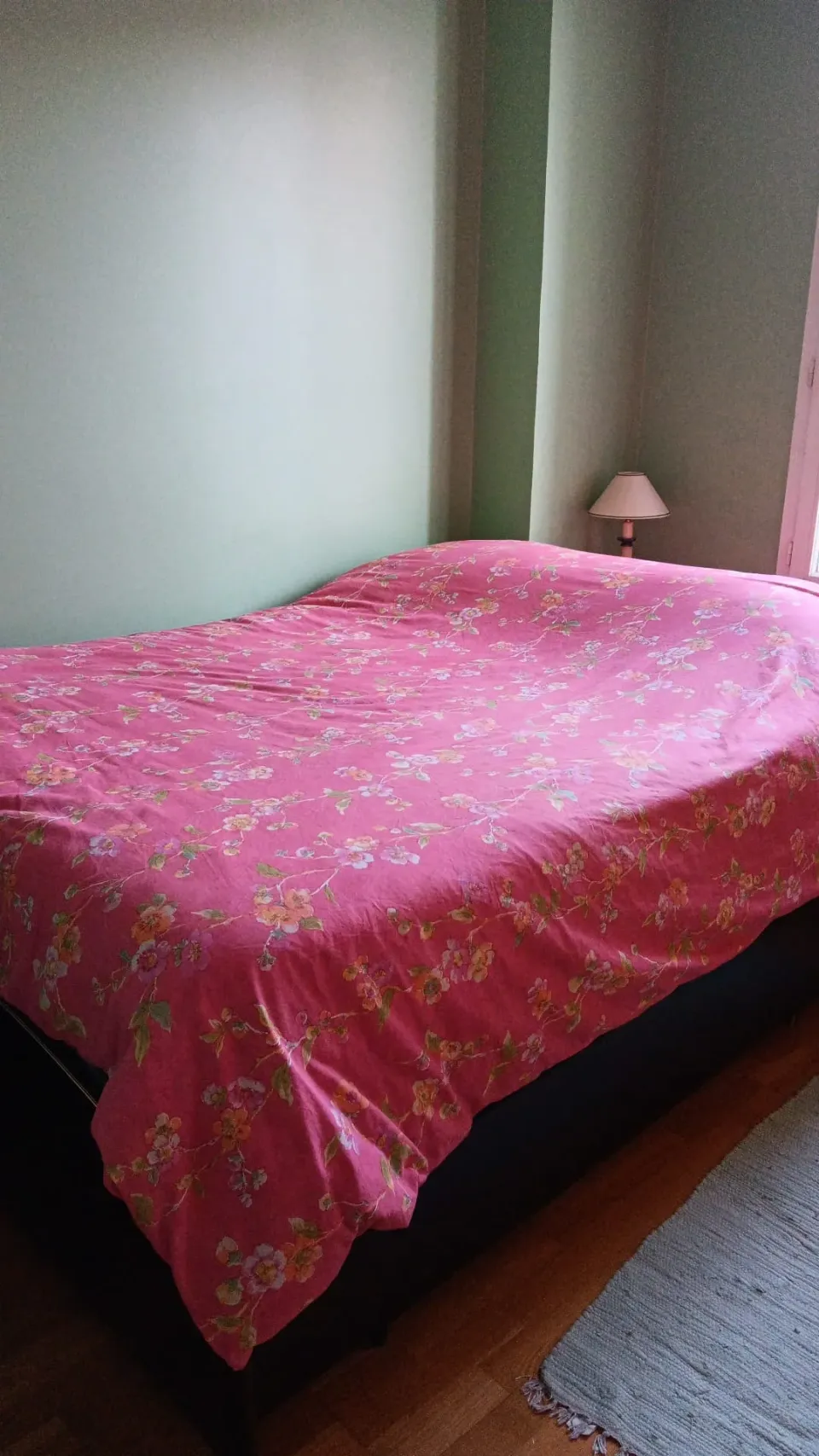 Photo 1 de la chambre
