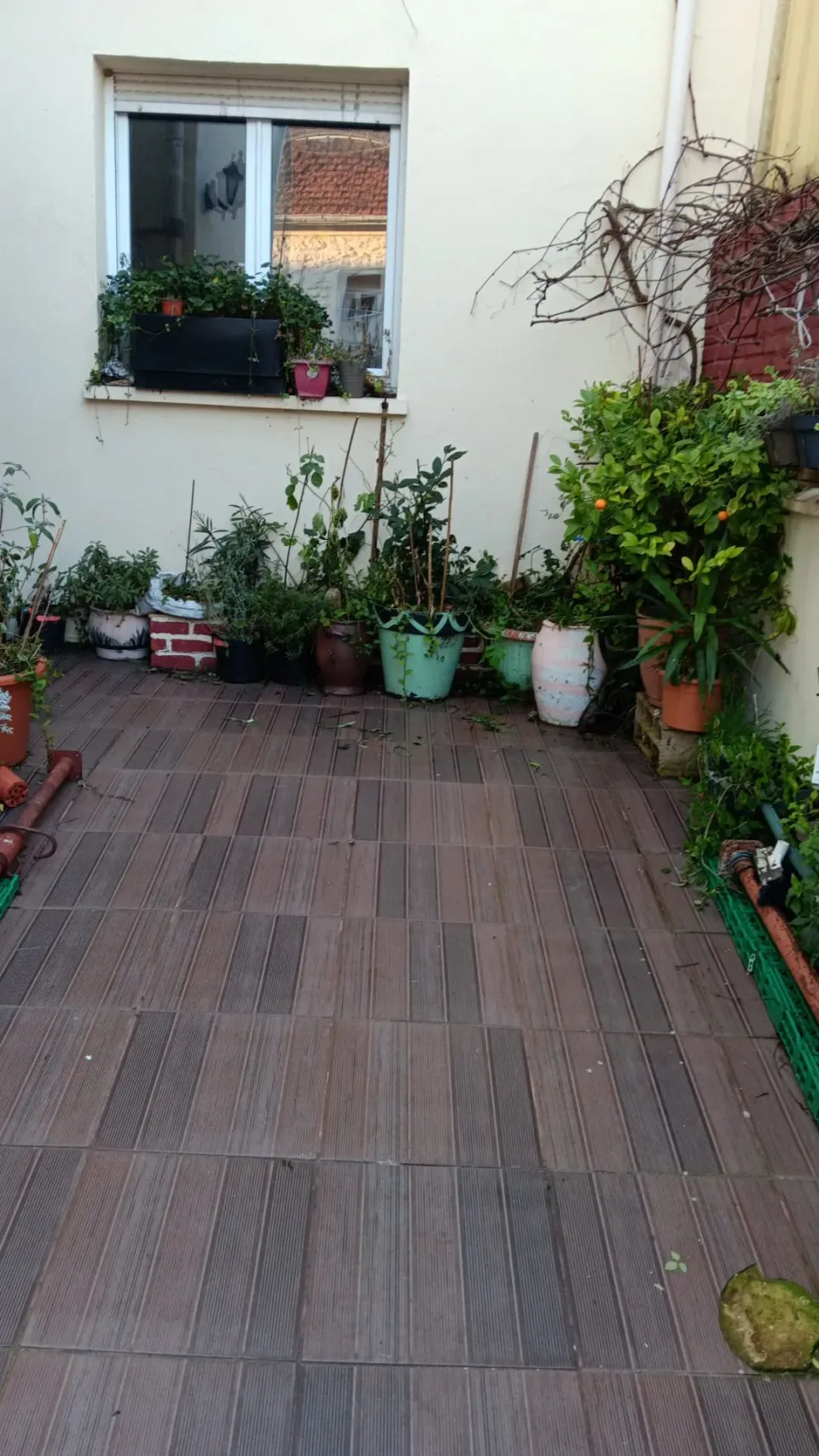 Photo 2 de la chambre